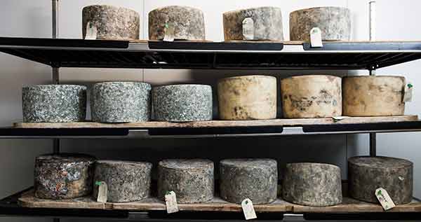 hostpitality-tourism-cheese-aging